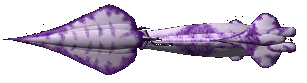 Minbari Flyer Side View